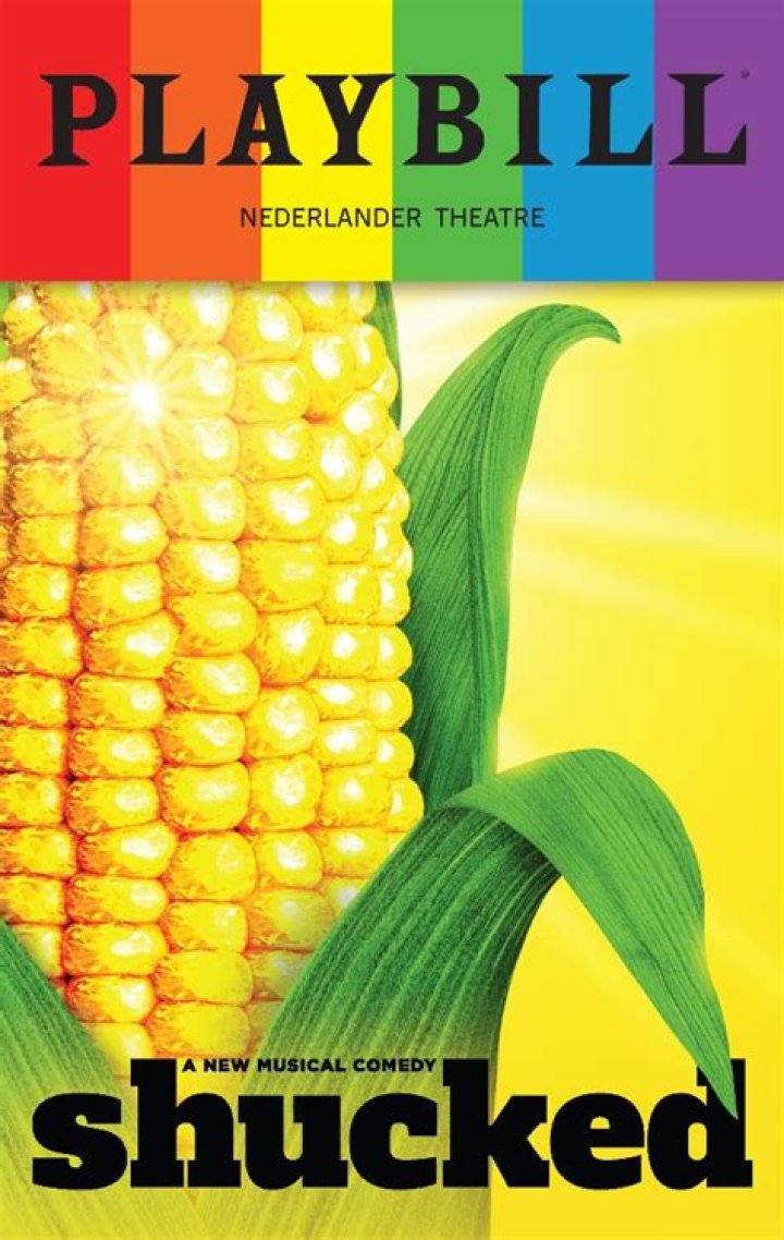 Shane McAnally Bio (Wiki) 