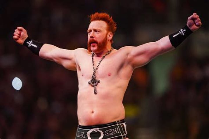 Sheamus Net Worth - Wiki, Age, Weight and Height, Relationships, Family, and More