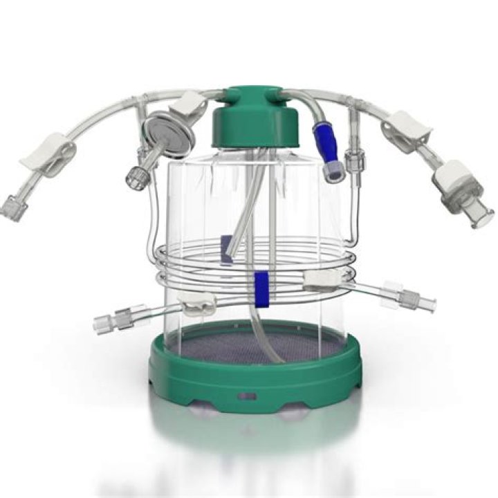 Simon Rex Bio (Wiki) 