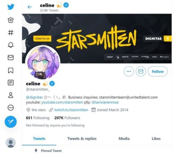 Starsmitten Bio (Wiki) 