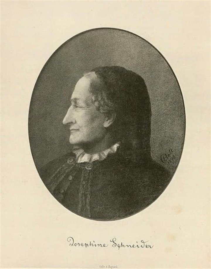 Stephen Schneider Bio (Wiki) 