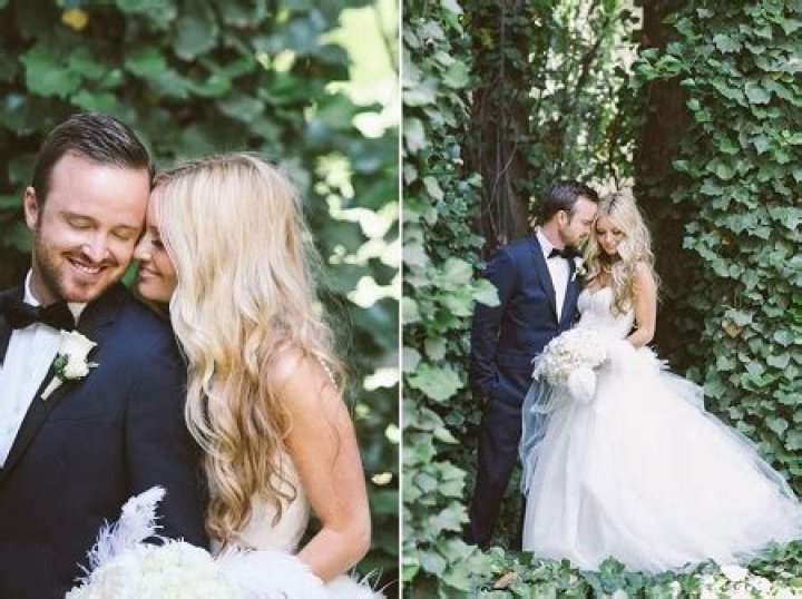 Story Annabelle Paul- Meet Daugter Of Aaron Paul and Lauren Parsekian