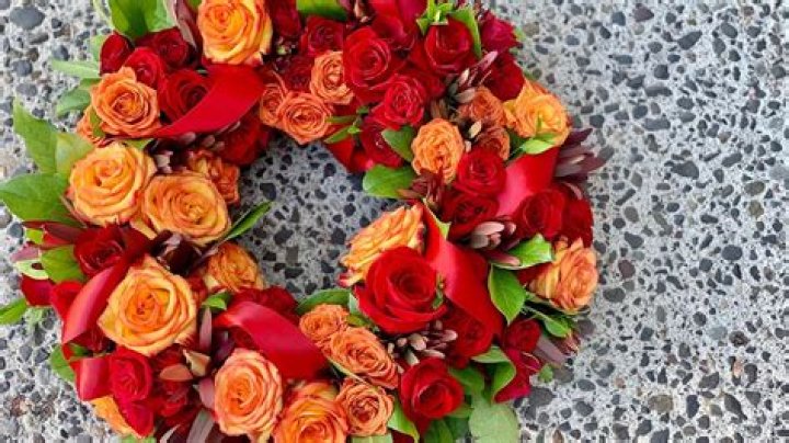 Taylor Shupe Obituary Death Cause And Family