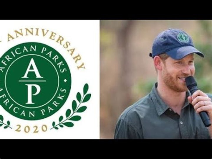 The British media is still trying to get Prince Harry to resign from African Parks