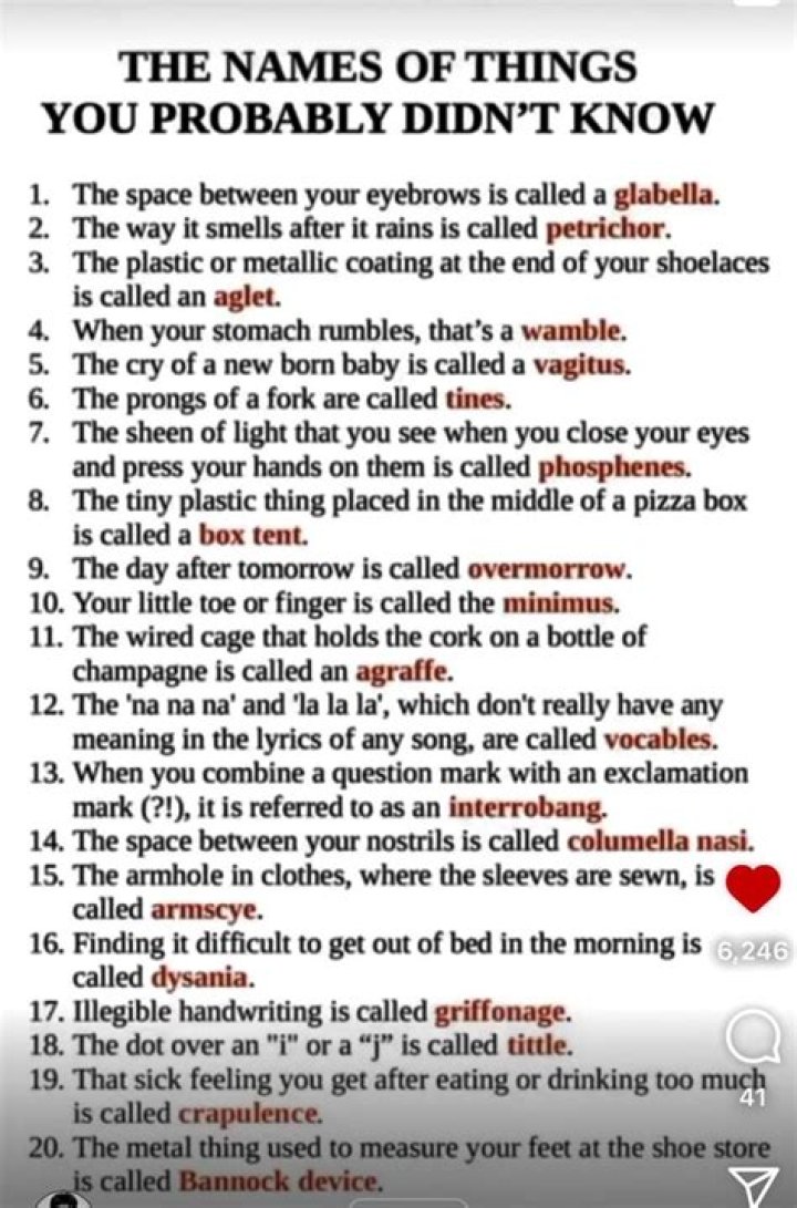 Things You Probably Didn't Know About Crissy Guerrero