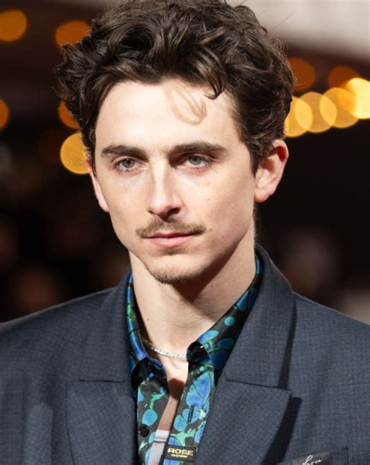 “Timothee Chalamet’s mustache stars in ‘The French Dispatch'” links