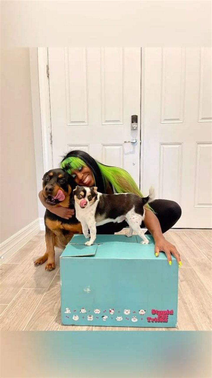 Trinity Fatu (Naomi) Pets - Celebrity Pets