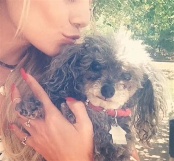 Vanessa Hudgens Pets - Celebrity Pets