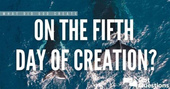 What did God create on the fifth day of creation?
