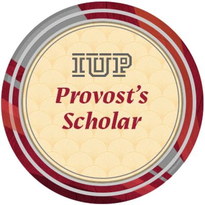 What is a Provost Scholar?