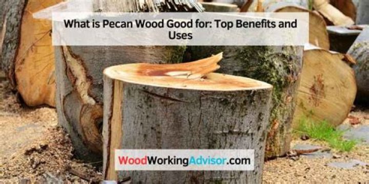 What is pecan tree wood good for?