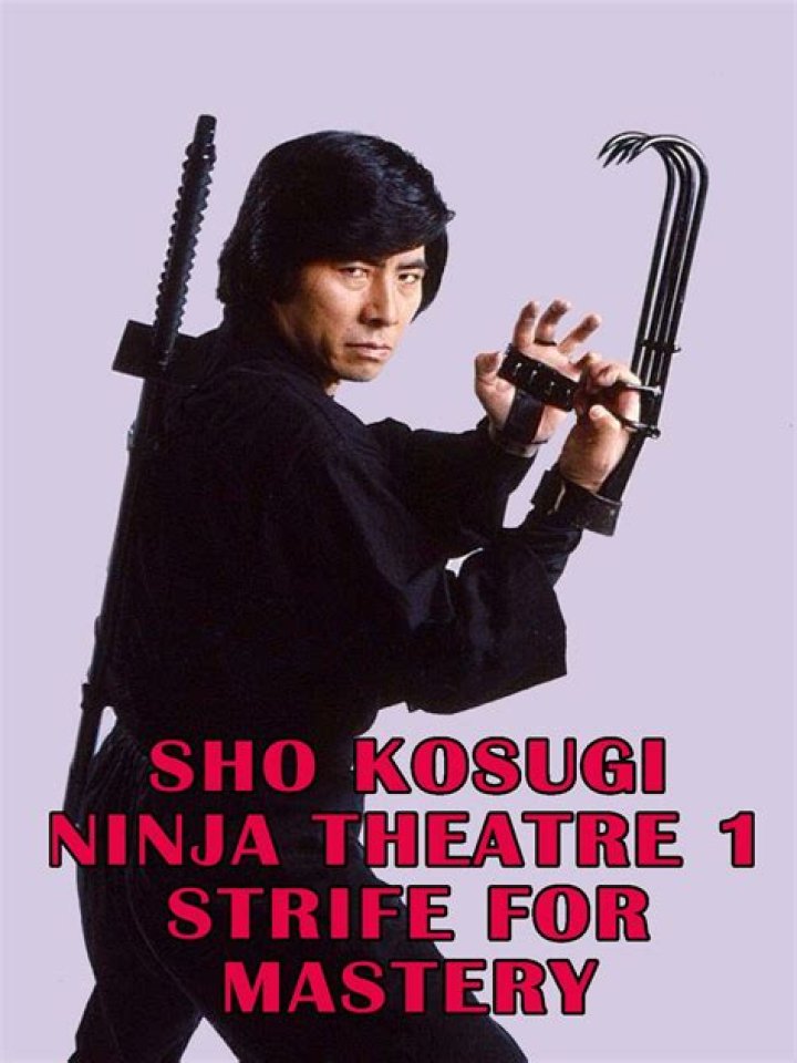 Who is Japanese Actor Sho Kosugi's Wife? Know More About His Kids, Movies, Ninja Assassin, Sword, Institute, Poster, Black Eagle, Martial Arts, Net Worth, & More.