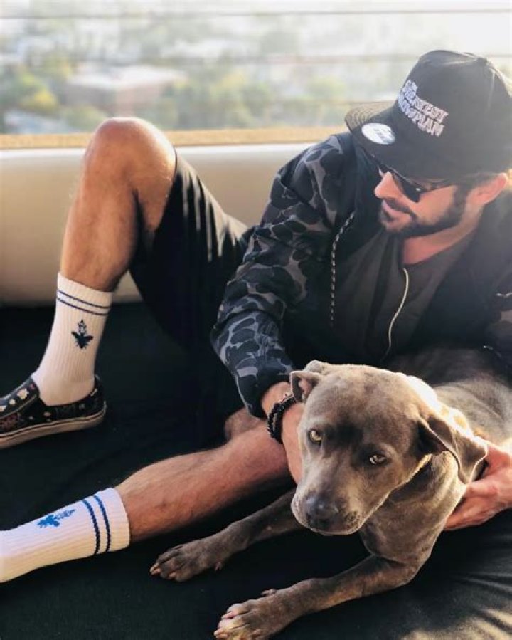 Zac Efron Adopts a Dog Who Was About to Be Euthanized